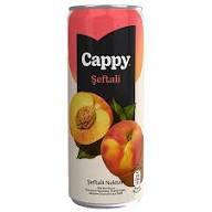 Cappy Kutu Şeftali Meyve Suyu 330 ml 12'li Fiyatı | Avansas