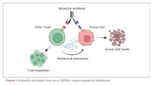 Image result for Hematologic Cancer