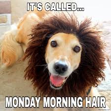 See, rate and share the best monday memes, gifs and funny pics. Its Called Monday Morning Hair Meme Memezila Com