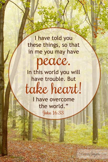 Take Heart! | John 16:33 - Tricia Goyer