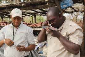 Desert Gold Ventures