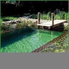 Pin By Yvonne Brook On Pool Of Plenty Natural Pool Natural Swimming Pools Natural Swimming Pool
