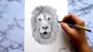 Comment dessiner un lion - How to draw a lion - YouTube