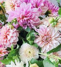 A Beginner S Guide To Growing Dahlias In 2021 Growing Dahlias Flower Garden Layouts Grow Gorgeous