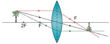 Image Formation By Convex And Concave Lens Ray Diagrams