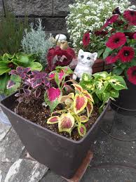 コリウスの寄せ植え | ともの寄せ植えガーデニング