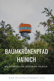 Baumkronenpfad Im Nationalpark Hainich Dem Urwald Aufs Dach Steigen Gunstig Urlaub Buchen Reisen Nationalpark