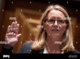 Committee meeting woman hi-res stock photography and images