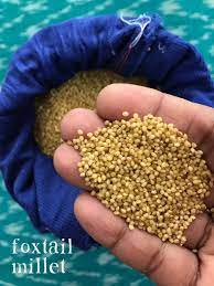 All You Want To Know About Cooking With Millets Millet Recipes Millet Recipe Indian How To Cook Millet