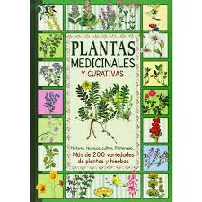 На испанском языке информация о книге: Plantas Medicinales Y Curativas Pdf