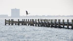 Dock builders navarre, fl | marine construction & sea walls fort walton beach, fl. Pensacola Bay Ferry Service Faces Mounting Challenges