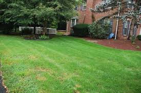 Look there is a lot to this question, but the bottom line on hiring a lawn care provider vs. Diy Lawn Care Vs Using A Pro Costs Considerations And Results