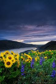 Tick Field Flickr Photo Sharing Beautiful Nature Beautiful Landscapes Scenic Photos