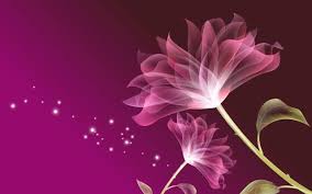 Pink Flowers 3d Wallpaper Background Flower Images Wallpapers Pink Flowers Wallpaper Flower Background Wallpaper