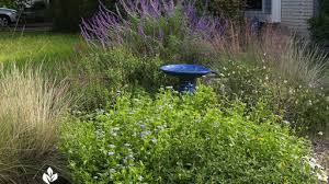 We did not find results for: Plant List Central Texas Gardener