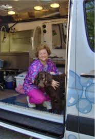 Some pet groomers acquire the funds enabling them to buy their business building which can be a terrific financial move when done correctly and keep in mind that even the largest pet grooming salon was once a small one. All Pets Grooming Home