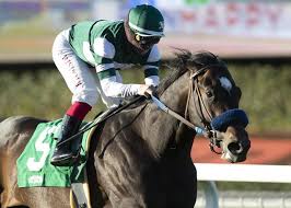 Medina spirit cannot be stripped of the kentucky derby victory until a second sample, collected at the same time as the first, returns the same result. Making Money Betting Medina Spirit In The Santa Anita Derby America S Best Racing