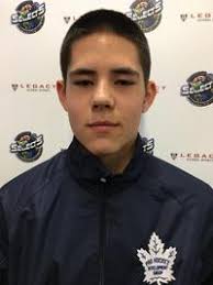 Pro Hockey Serdachny