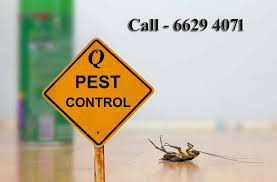 The initial service varies in cost, depending on the size of the. Pest Control Service In Doha Qatar
