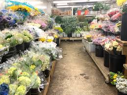 Maybe you would like to learn more about one of these? San Antonio Flower Company Home Facebook