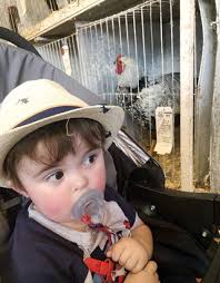 Harrow Fair pie auction raises record $49,600 for the John McGivney  Children's Centre