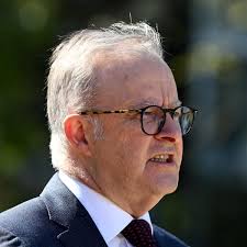 Afternoon Update: PM refuses to rule out double dissolution; White House  blasts Musk; and a koala's supermarket visit