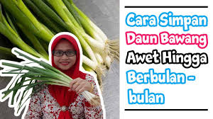 Mungkin berbeda kali ya kalau ditanam di tanah. Cara Menyimpan Daun Bawang Tahan Lama Youtube