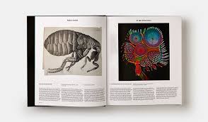 So we've rounded up the best and most giftable publications of the year just in time for the holidays. 32 Coffee Table Books That Are So Beautiful It Hurts