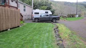 Check spelling or type a new query. Why Can T I Have A Moss Lawn Pamperingcampers Blog