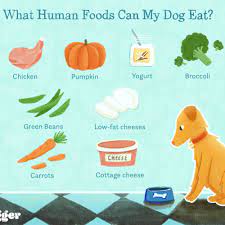15 Human Foods Dogs Can Eat And 6 They Shouldn T