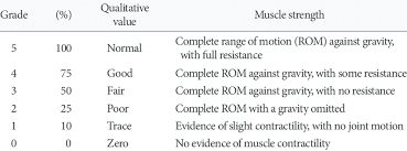 Manual Muscle Testing Grading Mmt 1 Download Table