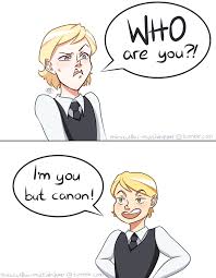 Felix Canon Vs Fanon Artist Link Below Miraculous Ladybug Funny Miraculous Ladybug Comic Miraculous Ladybug