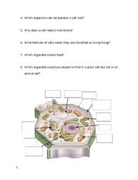 We did not find results for: Summative Plant And Animal Cell Project Yr 7 8 Biology By Life Made Easy