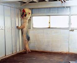 Check spelling or type a new query. Scp 173 Scp Foundation