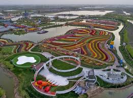 The flower fields of carlsbad is a must visit when you are in north san diego county. 2 315 Tulips Sea Photos Free Royalty Free Stock Photos From Dreamstime