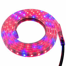 We did not find results for: 120 Volt Led Grow Lights Custom Led Grow Light Strips