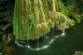 Cascada bigăr in romania is one of the most unusual waterfalls in the world and one of the most beautiful in romania. Bigar Waterfalls Romania Is A Beautiful Mix Of Water Grass And Magic
