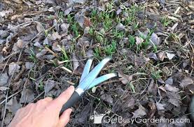 Plus i'll tell you when and how to spring clean your garden, give you tons garden cleaning tips, and i'll even share a few of my favorite tools that will help you get the job done. Spring Garden Clean Up Checklist Cleaning Tips