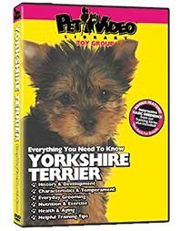 Your yorkie will naturally follow the treat with his or her head, which will cause the pup to roll. Amazon Com Yorkshire Terrier Dvd Dog Puppy Training Bonus Pet Video Library Movies Tv