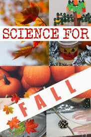 Students will explore the size / weight of the apple, if it floats, how it tastes, how many seeds are in side looking for more fun apple and activities and free apple printables? Autumn And Fall Science Experiments Science Sparks
