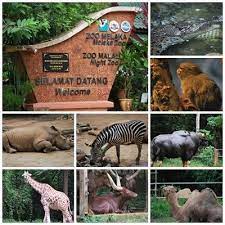 மலாக்கா விலங்கியல் பூங்கா (ta) parque zoológico ubicado en. Zoo Melaka Umi Homestay Bukit Katil Melaka