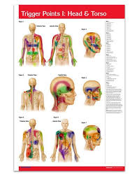 Read Pdf Trigger Point