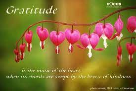 Pin By Jennifer May On Gratitude Garden Journal Spring Blooms Early Spring
