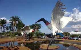 Resultado de imagem para Campo Grande Ms