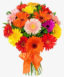 Flowers Flowers Free Matting Flower Bouquet Delivery Online Flower Delivery Flower Bokeh