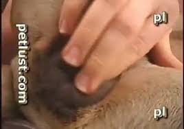 Ausschnitte aus dem kinsey report. Zoo Porno Insane German Zoophilia Xxx Beast Tube