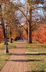 Charlottesville Events Calendar Festivals Parades Sporting Events Exhibitions Event Calendar Event Holiday Activities