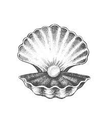 Ink Illustration Of Shell And Pearl Perlen Tattoo Muscheltatowierungen Tinte Abbildungen