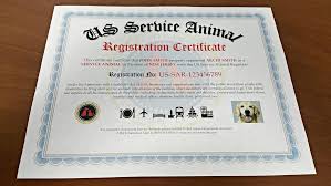 Register Your Service Dog With One Of The Largest Service Dog Registries Available Fast Free Shipping To Service Dogs Service Animal Emotional Support Animal