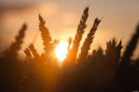 Hasil gambar untuk islam